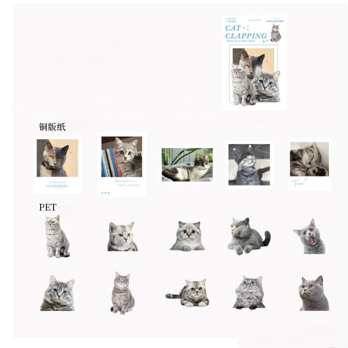 【特別注文】45枚 0070271 キャット 猫 ネコ ステッカー シール 文具 ステーショナリー DIY デコ 卸