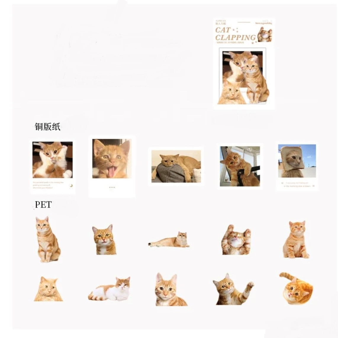 【特別注文】45枚 0070272 キャット 猫 ネコ ステッカー シール 文具 ステーショナリー DIY デコ 卸