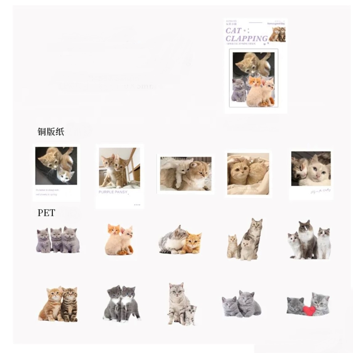【特別注文】45枚 0070273 キャット 猫 ネコ ステッカー シール 文具 ステーショナリー DIY デコ 卸