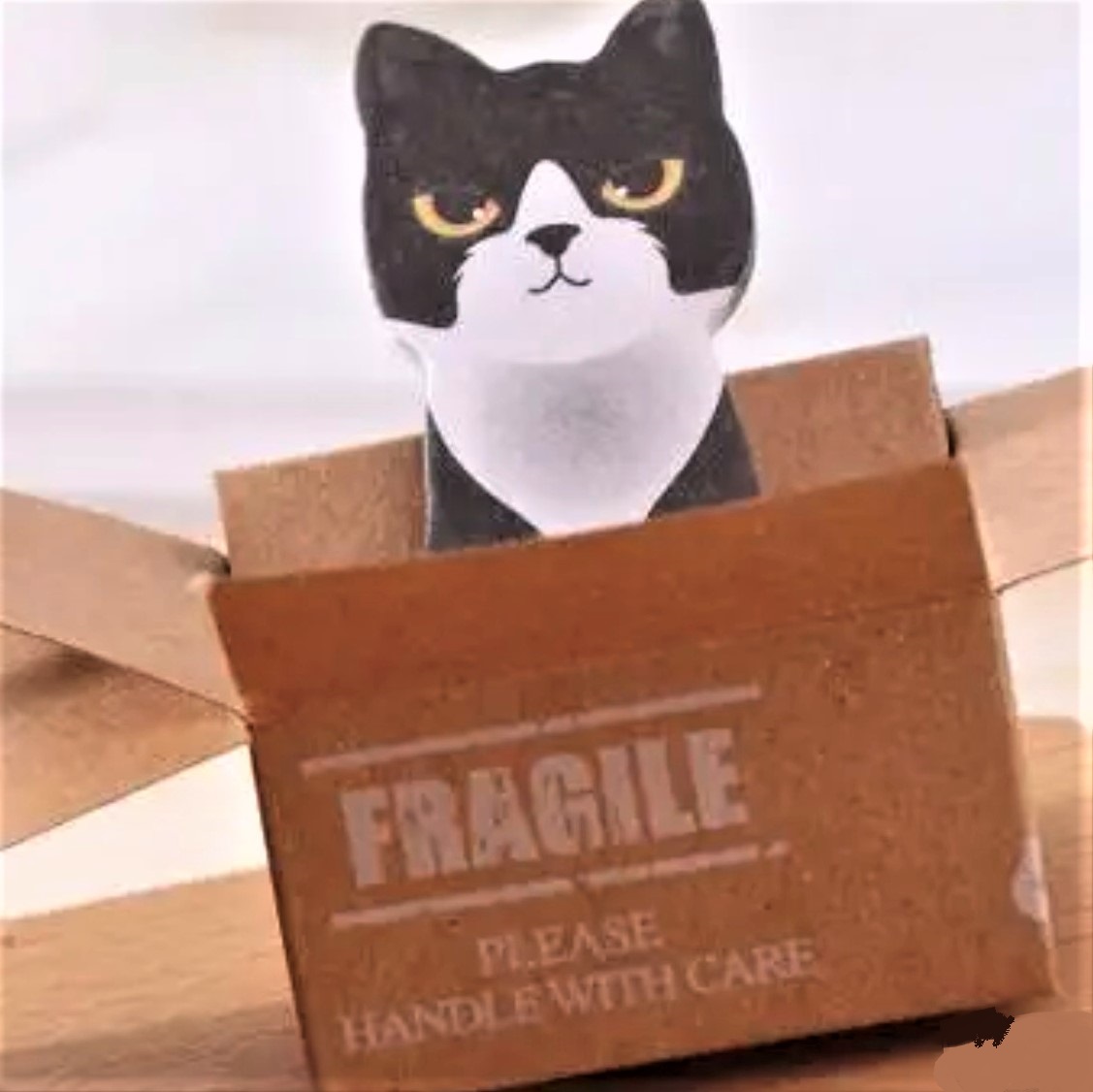 【特別注文】0070286 キャット 猫 ネコ ステッカー シール 文具 ステーショナリー DIY デコ 卸